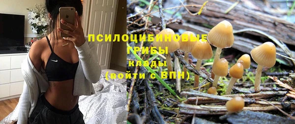 соль ск Белокуриха