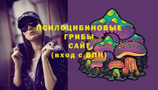 соль ск Белокуриха