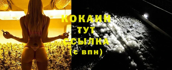 сатива Богородицк