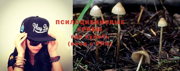 ешки Белоозёрский